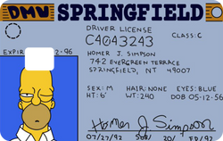 Licencia Homero
