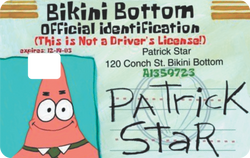 Licencia Patricio